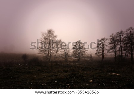 The dark trees at the forest edge and clearing. Sepia dark background: forest in the mist