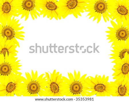 Frame  from bright young sunflowers and a white background