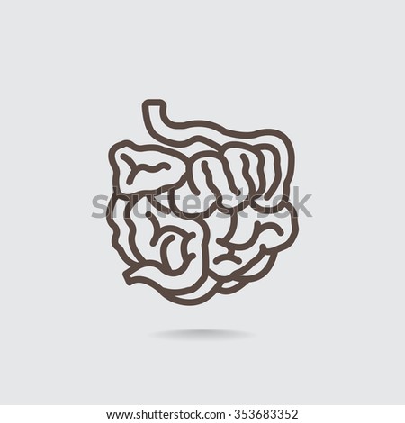 small intestine icon