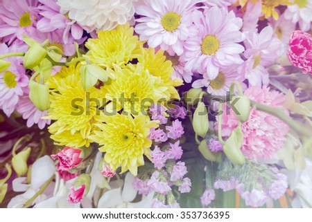 beautiful flowers made with sweet soft style color filters, romantic flowers, flowers blurry style for background.