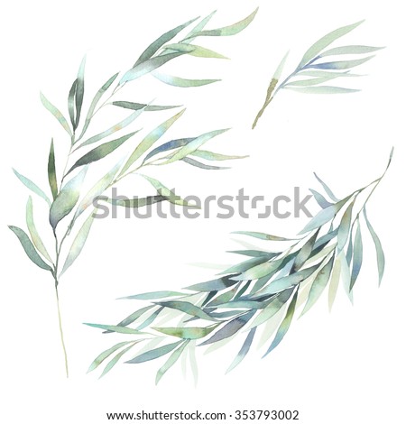 Watercolor leaves branch set. Hand painted eucalyptus elements isolated on white background. Artistic clip art