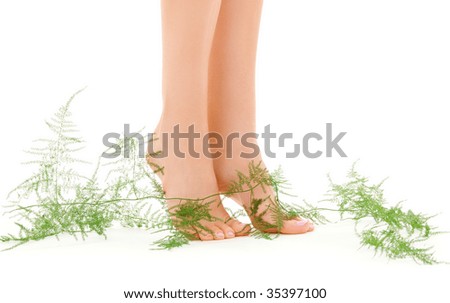 picture of female legs with green plant over white