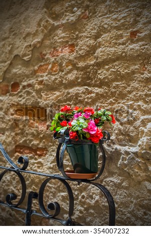 Flowers against the background the old Venetian walls