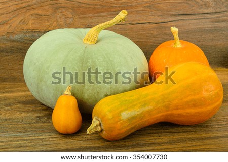 Fresh Ripe Pumpkin. Vegetables for Healthy Diet. Studio Photo.