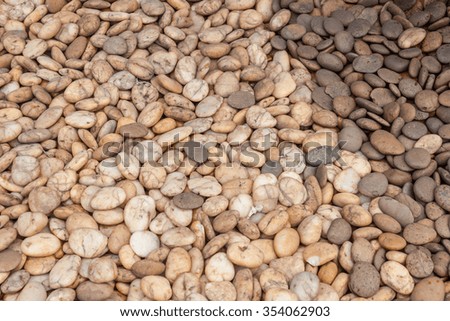 abstract background with dry round reeble stones