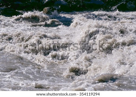 mountain river flow  in summer time 