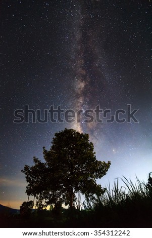 The Milky Way above the shadow of a tree,Long exposure photograph, with grain
