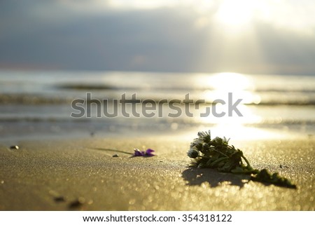 Floral tribute Royalty-Free Stock Photo #354318122