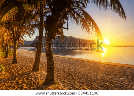 Paradise sandy beach with palm trees and mountains at sunset. Mauritius. Royalty-Free Stock Photo #354451190
