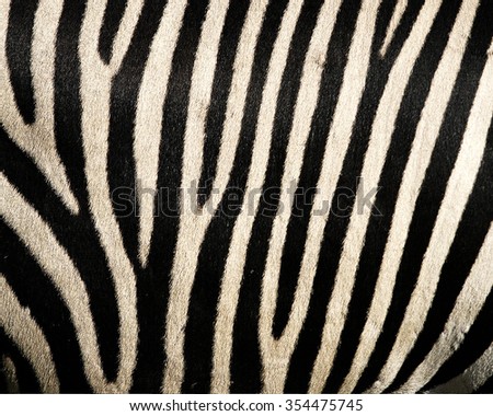 Animal skin texture for concept of nature Royalty-Free Stock Photo #354475745