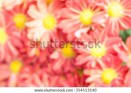 Beautiful blurry flowers abstraction.