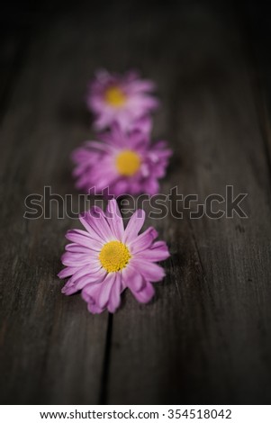 flowers on the wooden table