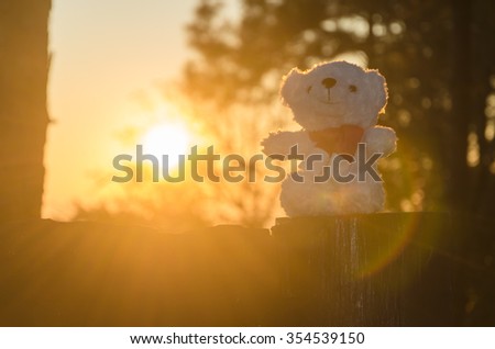 white bear doll with rim light of sunny morning