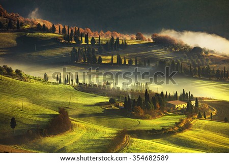 Tuscany foggy morning, farmland and cypress trees country landscape. Italy, Europe. Royalty-Free Stock Photo #354682589