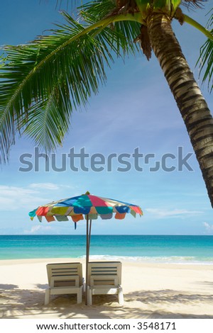 view of big coconut palm and two chairs with umbrella beneath
