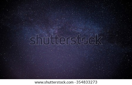 Starry sky and trees in the foreground