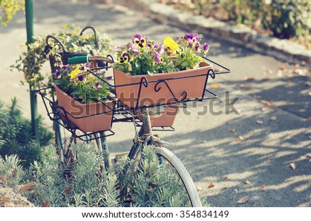 Unusual decorative vintage model bicycle with flowers in pots.
