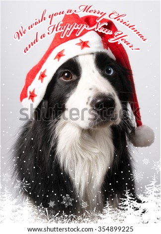 A dog in Santa's cap in We wish you a Merry Christmas and a Happy New Year! design