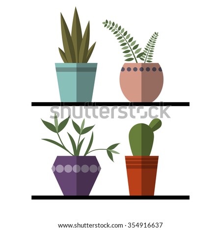 plants and cactus in pots