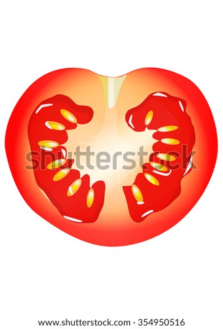 Half a tomato, with seeds, isolated on white, vector illustration