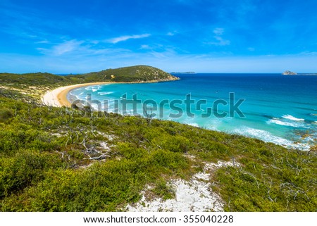 Top view of Squeaky Beach in Wilsons Promontory National Park, Victoria, Australia. Royalty-Free Stock Photo #355040228
