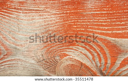 texture of  wood tree. (See more  texture  in my portfolio)
