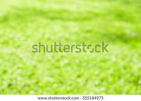 Out of focus tropical green grass background