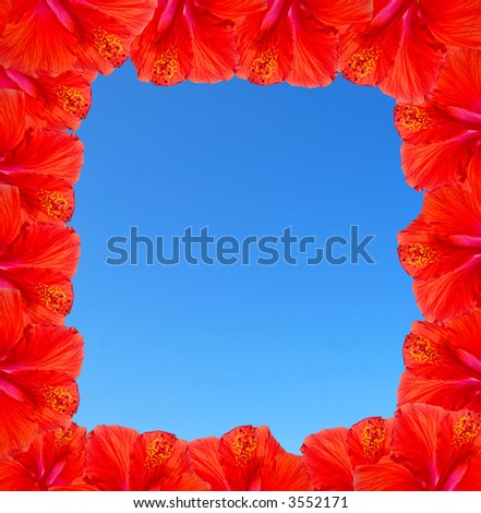 Hibiscus Flower Frame
