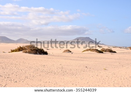 Photo Picture of a Beautiful Dry Desert Landscape