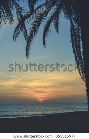 Beautiful colorful sunset on the beach through silhouette of palm tree leaves