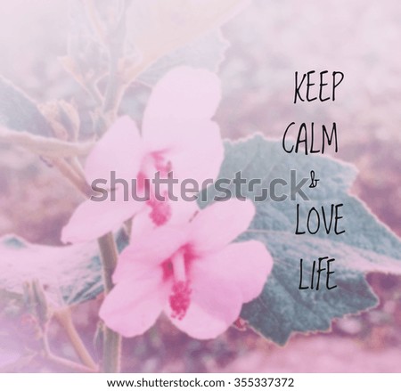 Inspirational quote on blurred  flowers background