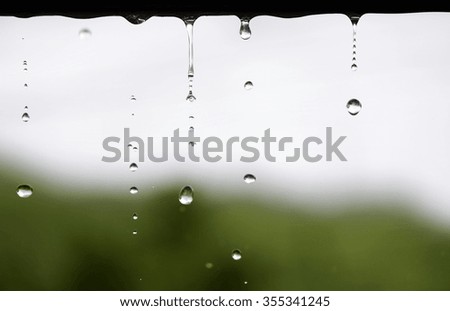 raindrops on blurred nature background