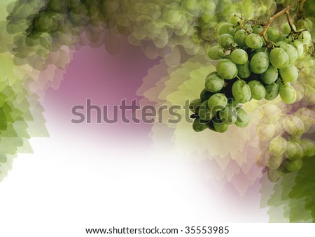 grapes background for your text