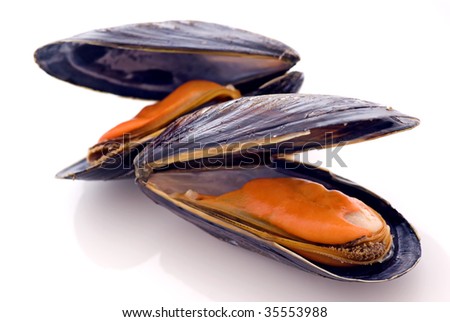 Mussels Royalty-Free Stock Photo #35553988