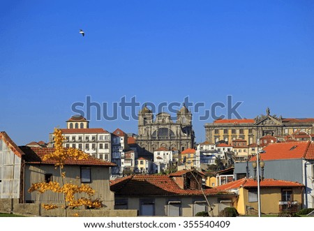 Porto cathedral and house roofs from viewpoint, Portugal
