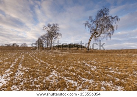 Early winter or late autumnal landscape of field at good weather. Fields with little snow.