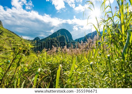 Mountain landscape with green grass field and blue sky