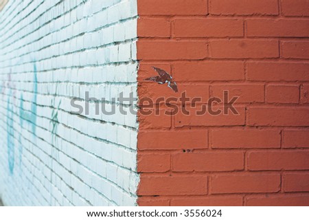 Close-up view of corner and painted wall with graffiti