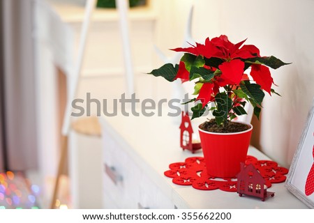 Christmas flower poinsettia and decorations on shelf, on light background