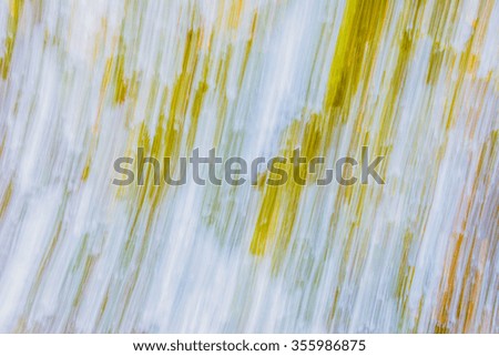 Abstract motion blur of tree background 