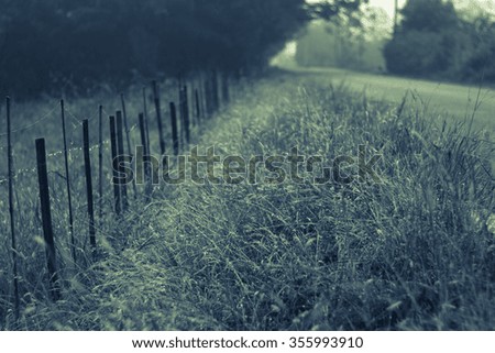 Country Roads,blurred scene.vintage style.