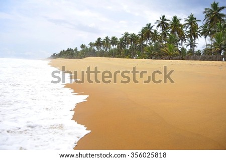 GRAND BASSAM, IVORY COAST, AFRICA. April 2013. Tropical ocean Grand Bassam beach in Cote d'Ivoire, stock photo. Dream of ocean waves, golden sand, palm trees, coconut beach, tropical vacation image. Royalty-Free Stock Photo #356025818