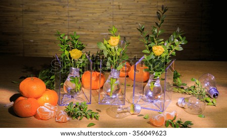 Creative photography with tangerines