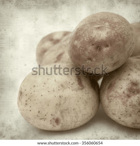 textured old paper background with new potatoes