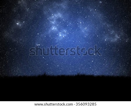 silhouette of grass on night sky background

