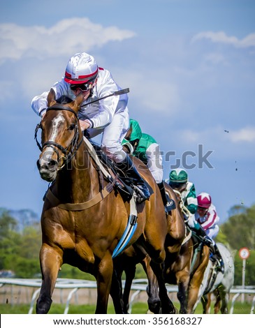 Thoroughbreds racing for the finish. Royalty-Free Stock Photo #356168327