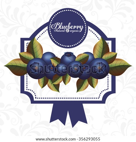 delicious blueberry design, vector illustration eps10 graphic 