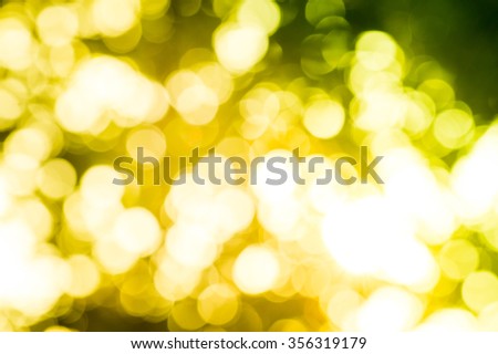 Bokeh light from the sun through the leaves.