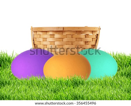 Colorful Easter Eggs in green grass isolated on white