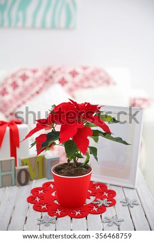 Christmas flower poinsettia and decorations on table with Christmas decorations, on light background